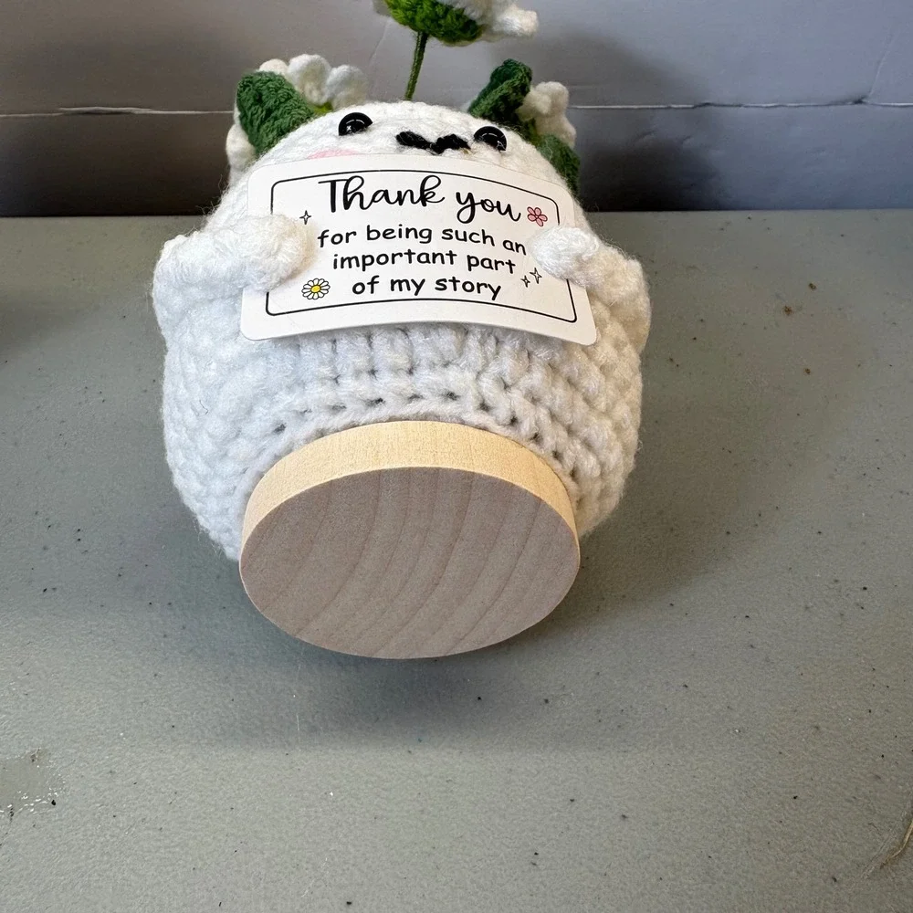 Handmade Crochet Positive Daisy Potted Plant Thank You Gift Desk Decor Nurse